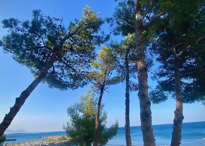 Rana E Hedhun Apartmán